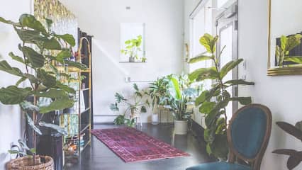Vida Wellness Studio - Chiropractor in Portland