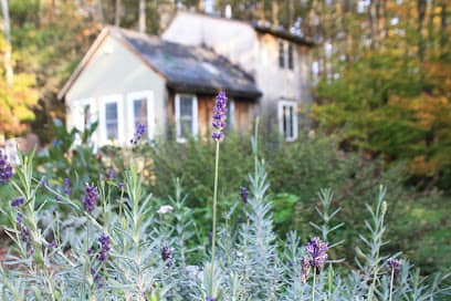 PeaceWell Integrative Massage & Wellness | Moira Abram-Hale, LMT - Massage therapist in Cape Neddick