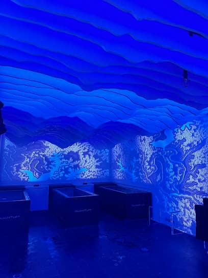 Quantum Wellness Spa - Health spa in Los Angeles