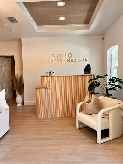SOHO Wellness Med Spa | Wesley Chapel - Medical spa in Wesley Chapel
