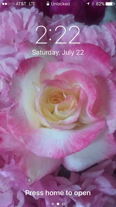 The Pampering Place Day Spa & Gift Boutique - Day spa in Wheat Ridge