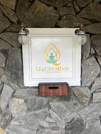 Liquid Mind Wellness, LLC - Massage spa in Tampa