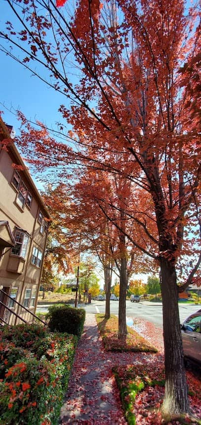 Spa W - Day spa in Bend