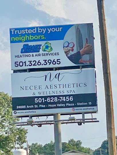Necee Aesthethics & Wellness Spa - Wellness center in Hensley