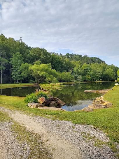 Willow Creek Falls Med Spa -  in Blue Ridge