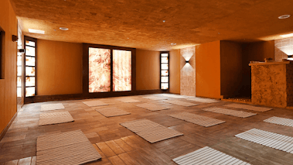 Spa Land & Sauna - Spa in Duluth