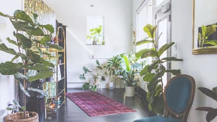 Vida Wellness Studio - Chiropractor in Portland, OR
