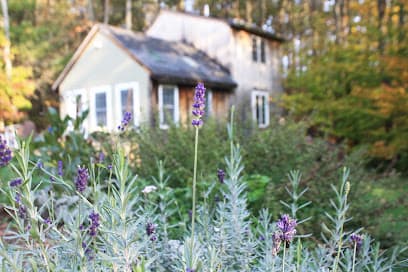 PeaceWell Integrative Massage & Wellness | Moira Abram-Hale, LMT - Massage therapist in Cape Neddick, ME