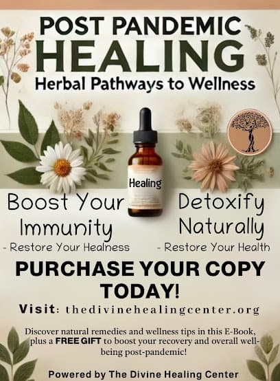 The Divine Healing Center - Health spa in Chicago, IL