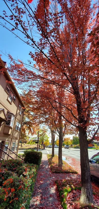 Spa W - Day spa in Bend, OR